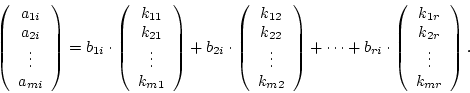 \begin{displaymath}\left(
\begin {array}{c}
a_{1i}\\
a_{2i}\\
\vdots\\
a_{mi}...
...}
k_{1r}\\
k_{2r}\\
\vdots\\
k_{mr}\\
\end {array}
\right).\end{displaymath}