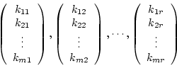 \begin{displaymath}\left(
\begin {array}{c}
k_{11}\\
k_{21}\\
\vdots\\
k_{m1}...
...}
k_{1r}\\
k_{2r}\\
\vdots\\
k_{mr}\\
\end {array}
\right)
\end{displaymath}