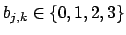 $b_{j,k}\in\{0,1,2,3\}$